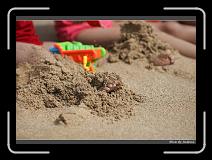 IMG_7146 * 850 x 608 * (241KB)