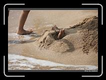 IMG_7177 * 850 x 608 * (246KB)