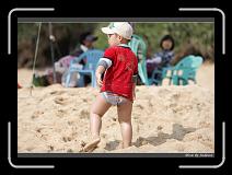 IMG_7211 * 850 x 608 * (232KB)