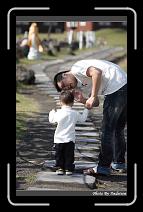 IMG_7222 * 566 x 910 * (225KB)