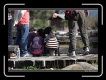 IMG_7237 * 850 x 608 * (242KB)
