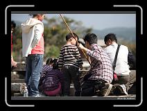 IMG_7238 * 850 x 608 * (249KB)