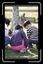 IMG_7261 * 566 x 910 * (250KB)