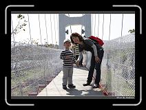 IMG_7290 * 850 x 608 * (240KB)