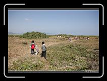 IMG_7299 * 850 x 608 * (247KB)