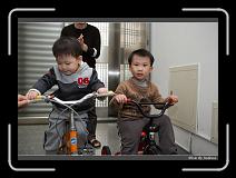 IMG_7316 * 850 x 608 * (231KB)