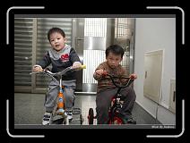IMG_7318 * 850 x 608 * (247KB)