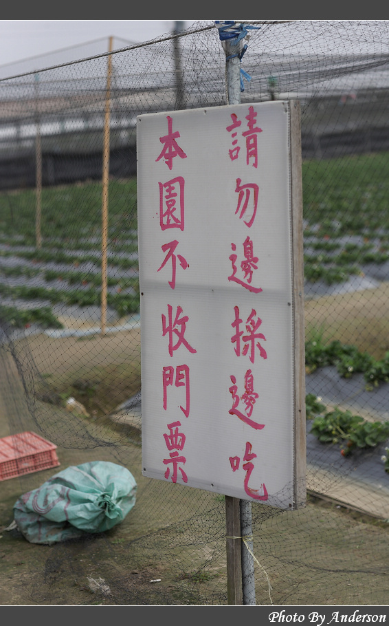 下一張幻燈片