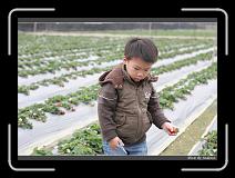 IMG_7580 * 850 x 608 * (224KB)