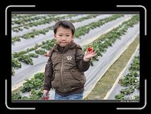 IMG_7586 * 850 x 608 * (226KB)