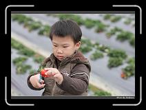 IMG_7607 * 850 x 608 * (232KB)