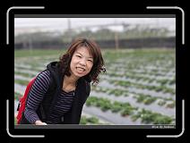 IMG_7609 * 850 x 608 * (228KB)