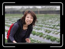 IMG_7610 * 850 x 608 * (241KB)