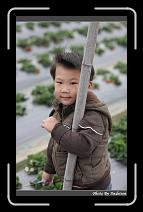 IMG_7619 * 566 x 910 * (237KB)