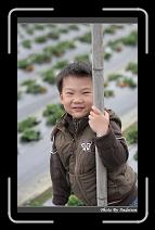 IMG_7623 * 566 x 910 * (239KB)