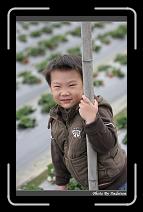IMG_7624 * 566 x 910 * (236KB)