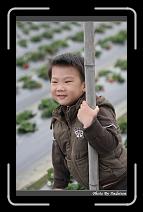 IMG_7625 * 566 x 910 * (238KB)