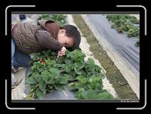 IMG_7635 * 850 x 608 * (223KB)