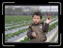 IMG_7642 * 850 x 608 * (224KB)