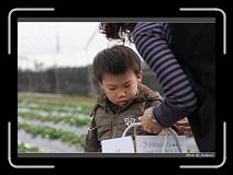 IMG_7648 * 850 x 608 * (213KB)