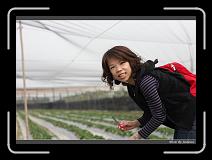 IMG_7649 * 850 x 608 * (212KB)