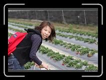IMG_7651 * 850 x 608 * (220KB)