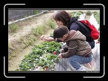IMG_7657 * 850 x 608 * (244KB)