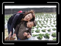 IMG_7677 * 850 x 608 * (244KB)
