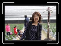 IMG_7679 * 850 x 608 * (227KB)