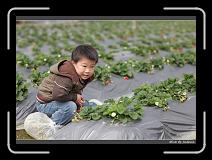 IMG_7685 * 850 x 608 * (233KB)
