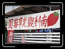 IMG_7687 * 850 x 608 * (244KB)
