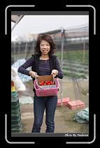 IMG_7691 * 566 x 910 * (226KB)