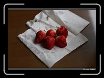IMG_7707 * 850 x 608 * (247KB)
