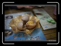 IMG_7748 * 850 x 608 * (220KB)