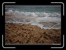 IMG_7851 * 850 x 608 * (233KB)