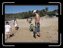 IMG_7981 * 850 x 608 * (247KB)