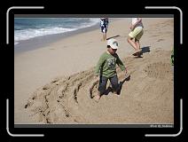 IMG_7990 * 850 x 608 * (243KB)