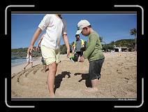 IMG_8004 * 850 x 608 * (240KB)