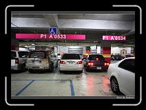 IMG_8041 * 850 x 608 * (237KB)