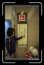 IMG_8048 * 566 x 910 * (234KB)
