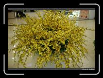 IMG_8052 * 850 x 608 * (246KB)