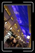 IMG_8065 * 566 x 910 * (234KB)