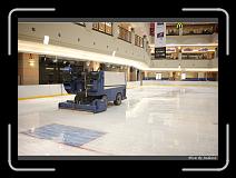 IMG_8098 * 850 x 608 * (228KB)