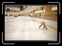 IMG_8101 * 850 x 608 * (242KB)