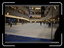 IMG_8183 * 850 x 608 * (217KB)