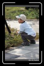 IMG_8329 * 566 x 910 * (228KB)