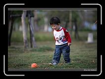 IMG_8403 * 850 x 608 * (233KB)