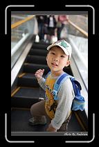 IMG_8557 * 566 x 910 * (245KB)