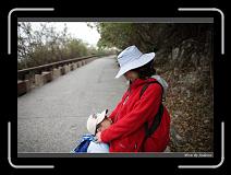 IMG_8664 * 850 x 608 * (225KB)
