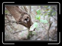 IMG_8668 * 850 x 608 * (220KB)